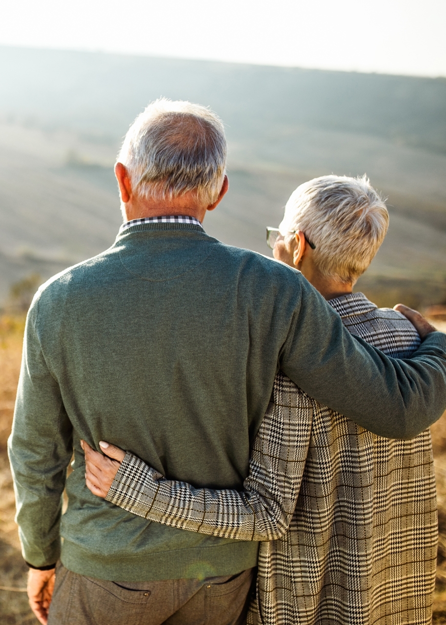 Rear view of embraced senior couple looking at their family in nature